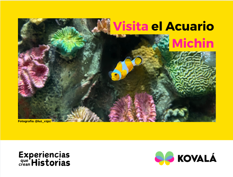 Acuario Michin CDMX: Una aventura acuática para todas las&nbsp;edades.