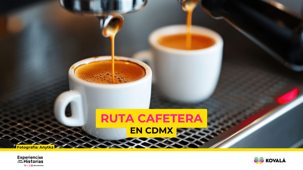 «Ruta cafetera en CDMX: una ruta para los amantes del&nbsp;café»